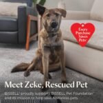 BISSELL Revolution HydroSteam Pet Carpet Cleaner, 3432