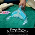 Shark CarpetXpert Carpet & Upholstery Cleaner with StainStriker, EX201