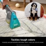 Shark CarpetXpert Carpet & Upholstery Cleaner with StainStriker, EX201