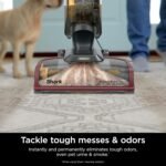 Shark CarpetXpert Carpet & Upholstery Cleaner with StainStriker, EX201