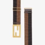 Fendi Brown Ribbon Belt