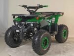 125cc Youth ATV 4-stroke 1-cylinder JUST ARRIVED 2025