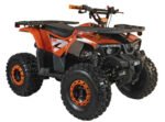 125cc Youth ATV 4-stroke 1-cylinder JUST ARRIVED 2025