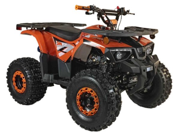 125cc Youth ATV 4-stroke 1-cylinder JUST ARRIVED 2025