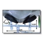 Malone EcoLight Single Kayak Trailer Package (1 Set Bunks)