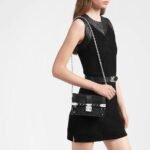 Louis Vuitton TRUNK CHAIN WALLET