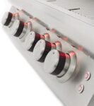 Blaze 32 Inch 4-Burner LTE Gas Grill with Rear Burner and Built-in Lighting System