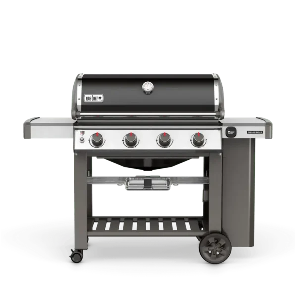 Weber Genesis II E-410 NG