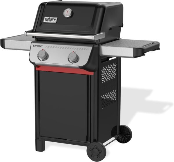 Weber SPIRIT 2-Burner Grill E-210 Liquid Propane Black