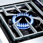 Broil King Regal S 590 Pro Gas Grill BK95834