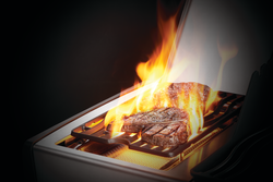 Napoleon Rogue SE 425 Gas Grill